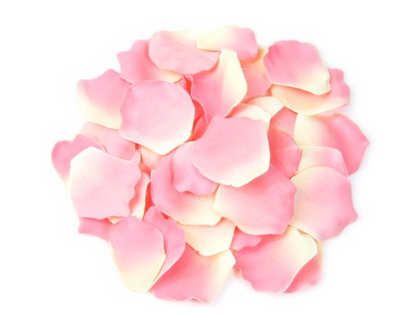 バラの花びら 15枚 ピンク Craftshop Qoopy
