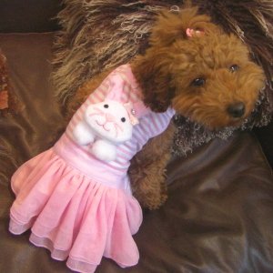 犬　カバーオール「Pink bunny」