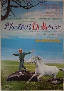 野にかける白い馬のように 映画チラシ 通販 映画チラシなら シネマガイド