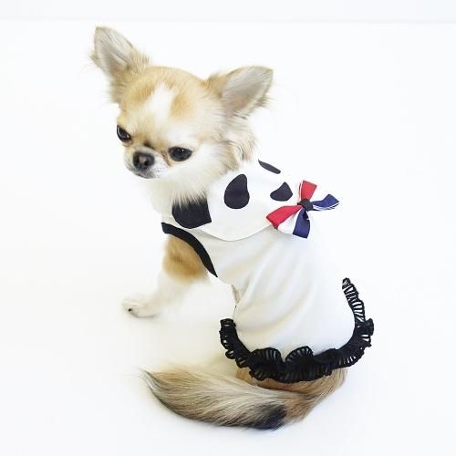 Coolパンダタンク Godpiva ゴッドピバ 犬のお洋服 ドッグウエア アクセサリーの専門ブランド Godpiva ゴッドピバ