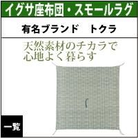 夏のおすすめイグサラグ