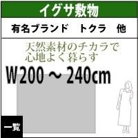 夏のおすすめイグサラグ