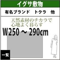 夏のおすすめイグサラグ