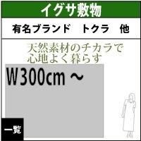 夏のおすすめイグサラグ