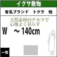 夏のおすすめイグサラグ