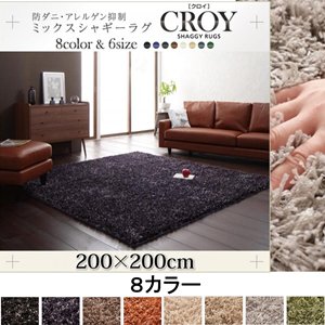 防ダニ・アレルゲン抑制ミックスシャギーラグ【CROY】クロイ/200×200cm /８カラー