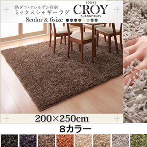 防ダニ・アレルゲン抑制ミックスシャギーラグ【CROY】クロイ/200×250cm/８カラー