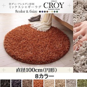 防ダニ・アレルゲン抑制ミックスシャギーラグ【CROY】クロイ/直径100cm(円形) /８カラー