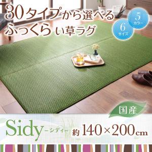 国産ふっくらい草ラグ【Sidy】シディ/140×200cm/５カラー