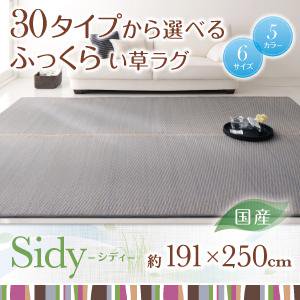 国産ふっくらい草ラグ【Sidy】シディ/191×250cm/５カラー