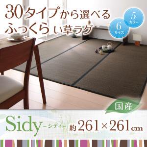 国産ふっくらい草ラグ【Sidy】シディ/261×261cm/５カラー