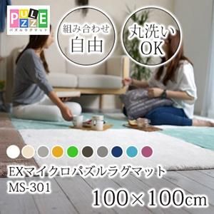 【送料無料】丸洗いOK!滑り止め加工/20カラーEXマイクロパズルラグマット/100×100cm