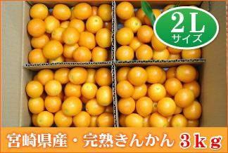 K302 宮崎県産 完熟きんかん３キロ ２ｌサイズ 内山金柑園オンラインショップ