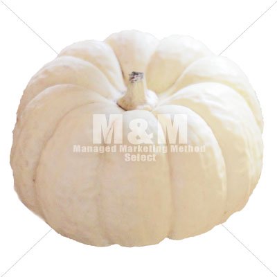 切り抜き素材 ハロウィン 白かぼちゃ １ M M Collection