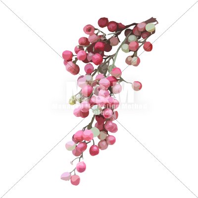 イラスト素材 花 ドライフラワー たくさんの赤い実 ペッパーベリー ８ M M Collection
