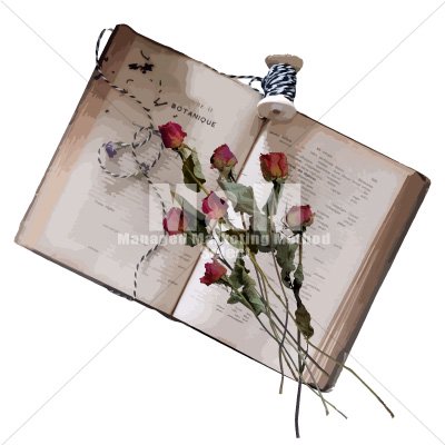 イラスト素材 本 アンティーク洋書と赤いバラ 糸 １ M M Collection