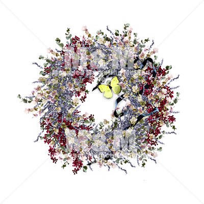 イラスト素材 花 ドライフラワー リース ５ ラベンダー オレガノ ユーカリ ペッパーベリー 水彩画風 M M Collection