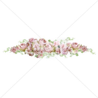 イラスト素材 花 アンティークピンクローズ アイビー １５ M M Collection