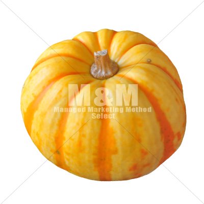 切り抜き素材 ハロウィン かぼちゃ オレンジ ２ M M Collection