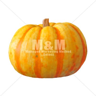 切り抜き素材 ハロウィン かぼちゃ オレンジ ３ M M Collection