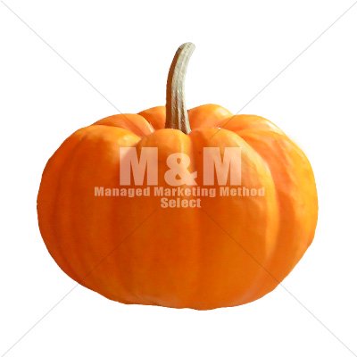 切り抜き素材 ハロウィン かぼちゃ オレンジ ４ M M Collection