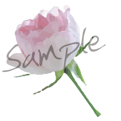 淡いピンクいろのバラ 一輪 02 イラスト素材 Flower M M Collection