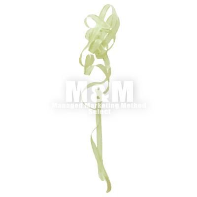 イラスト素材 Ribbon リボン クルクルさせて垂らした淡いグリーンのリボン M M Collection