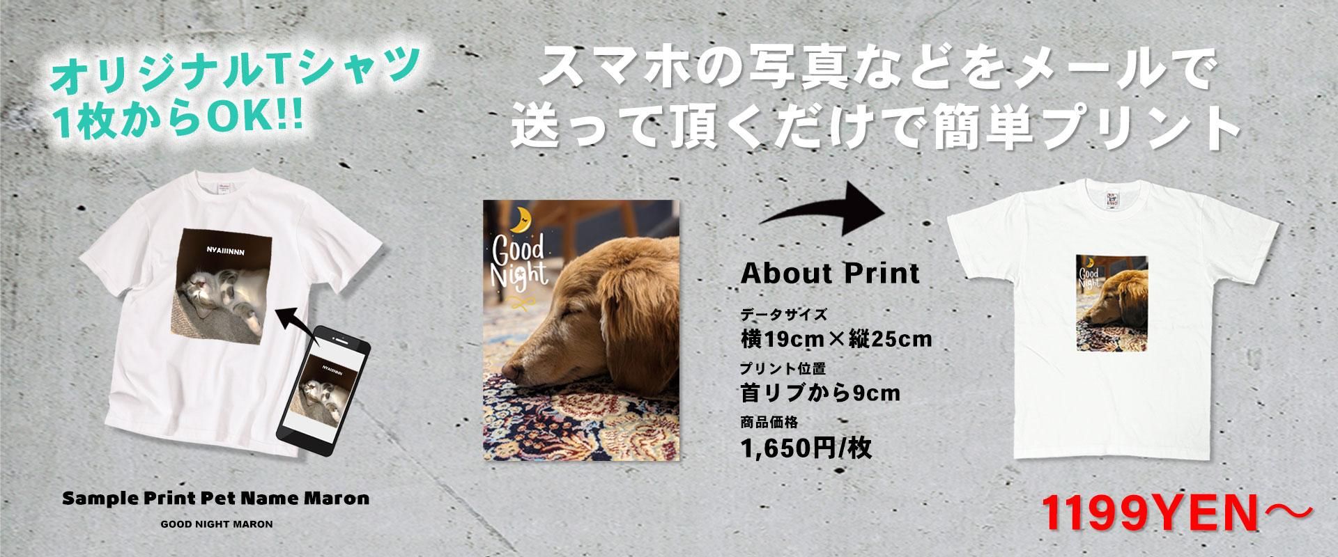 1礫饪ꥸʥTĤ