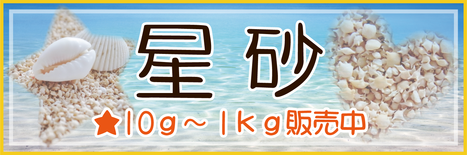 沖縄みやげ・琉球ガラス、星砂など沖縄のお土産専門オンラインショップ 