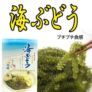 沖縄県産海ぶどう 50g 白