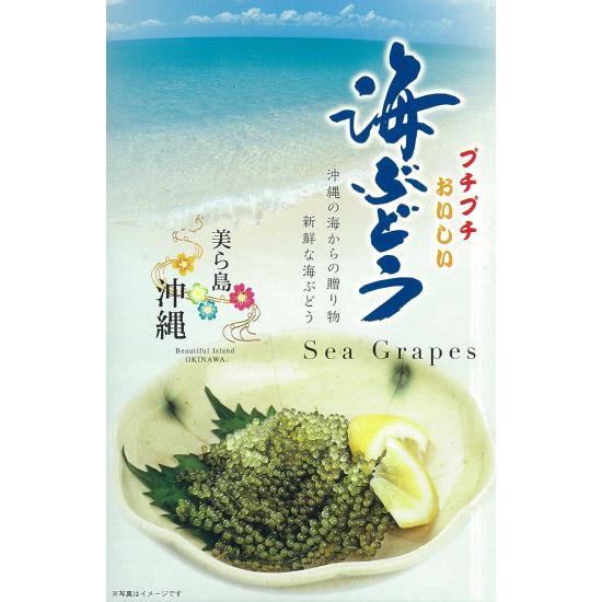 沖縄県産海ぶどう 50g 白