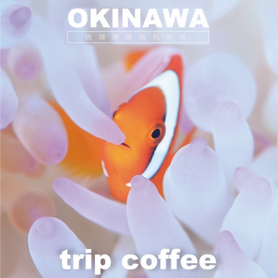 OKINAWA琉球珊瑚焙煎珈琲 ドリップコーヒー【クマノミ】