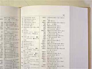 旧約聖書 ヘブル語大辞典 付アラム語 - 書本＆cafe magellan（マゼラン）