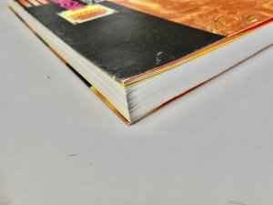 チベットの死者の書 サイケデリック・バージョン - 書本＆cafe