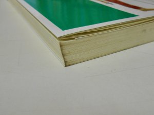 運命の書」入門 ナポレオンも怖れた皇帝占運術の秘密 ゴマポケット（GOMA POCKET） - 書本＆cafe magellan（マゼラン）