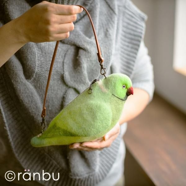 ワカケホンセイインコ 緑 Ranbu