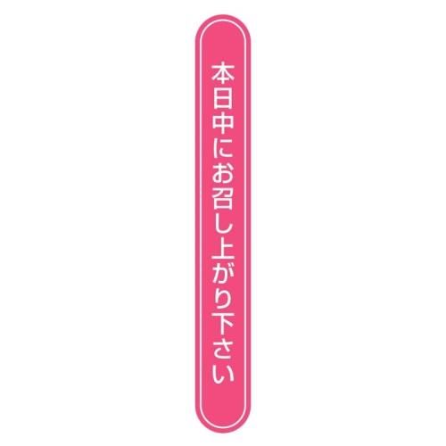 【ネコポス/20束まで送料24