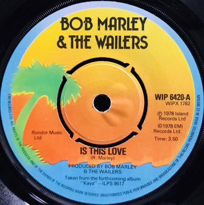 IS THIS LOVE - Jammers Record | ジャマーズレコード