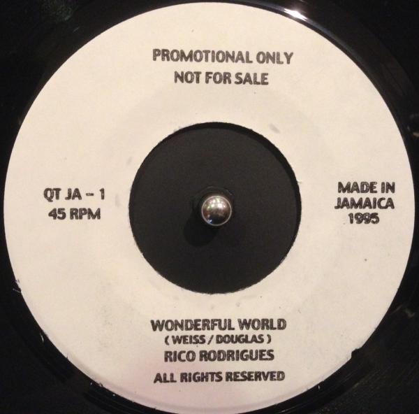 Rico Rodriguez   Wonderful World LP レコード
