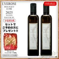 2025ǯʪۥEXV꡼֥롦500ml2ܥåȡӡͽ]<img class='new_mark_img2' src='https://img.shop-pro.jp/img/new/icons12.gif' style='border:none;display:inline;margin:0px;padding:0px;width:auto;' />