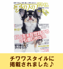 犬　お散歩グッズ_雑誌掲載
