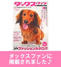 犬　デニム_雑誌掲載