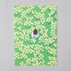 <img class='new_mark_img1' src='https://img.shop-pro.jp/img/new/icons1.gif' style='border:none;display:inline;margin:0px;padding:0px;width:auto;' />POLKA PAPER [ DAFFODILS / åѥ ] postcard