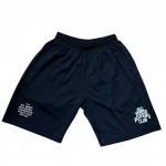 ͽʡ۴2025ޥܥǰ"ɥ饤ϡեѥġ