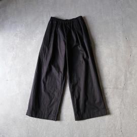 an2592 ���㥹�ȥ饤�ȥѥ��