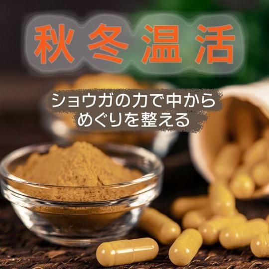 ショウガカプセル90日 - アレスヘルスケア公式オンラインショップ