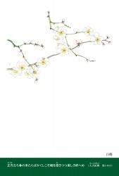 阿見みどり 絵はがき - 銀の鈴社 - 児童書・教養書の出版社