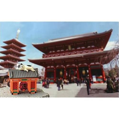 concombre コンコンブル 浅草 雷門うとうと猫