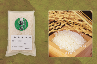 丹波篠山 無農薬栽培米 越光(コシヒカリ)5kg - 阪本屋公式 丹波篠山 無農薬栽培米 越光(コシヒカリ)5kg - 阪本屋公式