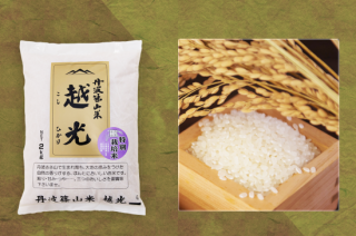 丹波篠山米 越光(コシヒカリ)10kg - 阪本屋公式ネットショップ 丹波篠山米 越光(コシヒカリ)10kg - 阪本屋公式ネットショップ